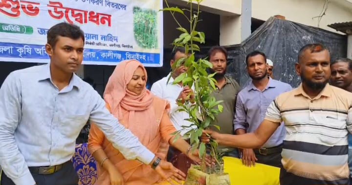 কালীগঞ্জে কৃষি প্রণোদনা কর্মসূচির আওতায় বৃক্ষের চারা বিতরণ উদ্বোধন
