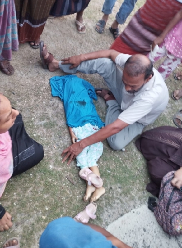 দামুড়হুদার দর্শনায় ট্রাকের ধাক্কায় শিশুর মৃত্যু, গাড়ি জব্দ