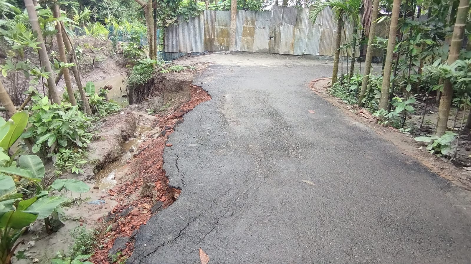 মঠবাড়িয়ায় নবনির্মিত রাস্তা খসে যাচ্ছে পুরো সড়কটি বিলুপ্ত হওয়ার আশঙ্কা