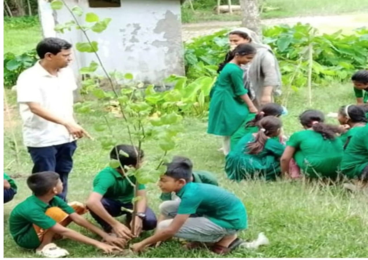 গাছের চারার বদলে ডাল পুঁতে বৃক্ষরোপণ, প্রধান শিক্ষক সাময়িক বরখাস্ত