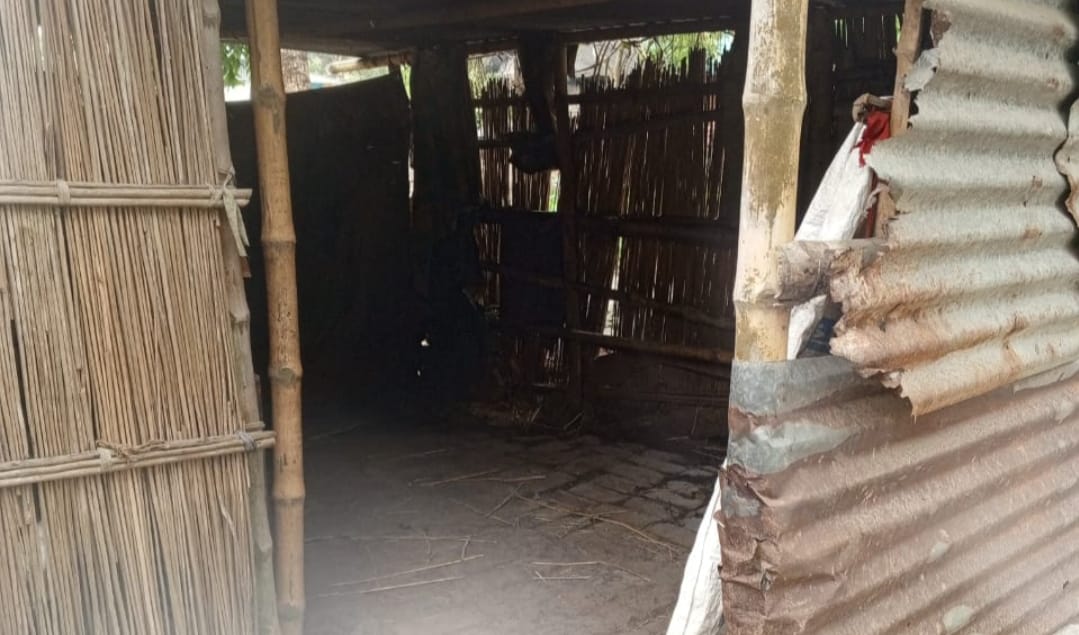 নড়াইলে গভীর রাতে গাভি-বাছুর চুরি, আতঙ্কে গ্রামবাসী