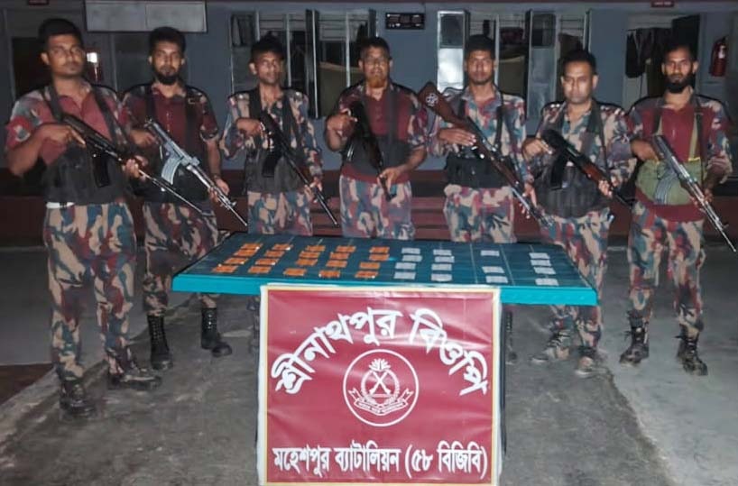 মহেশপুরে ৫৮ বিজিবির তিন পৃথক অভিযানে বিপুল পরিমাণ ভারতীয় ঔষধ আটক
