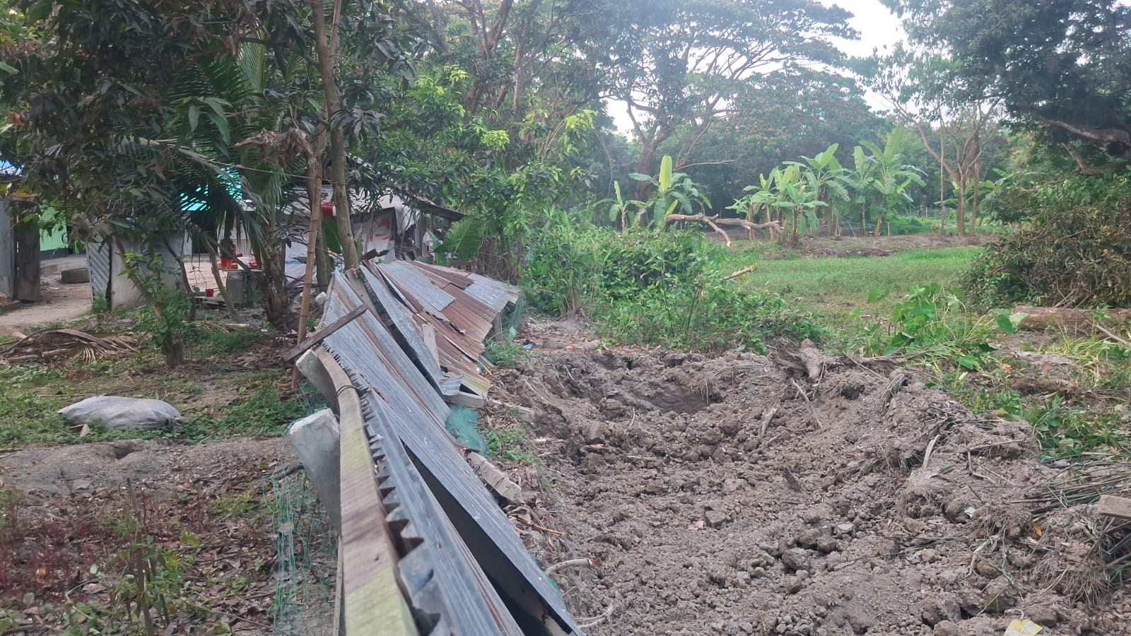 মীরসরাইয়ে গাছ কেটে ও প্রাচীর ভেঙে জমি দখলের অভিযোগ