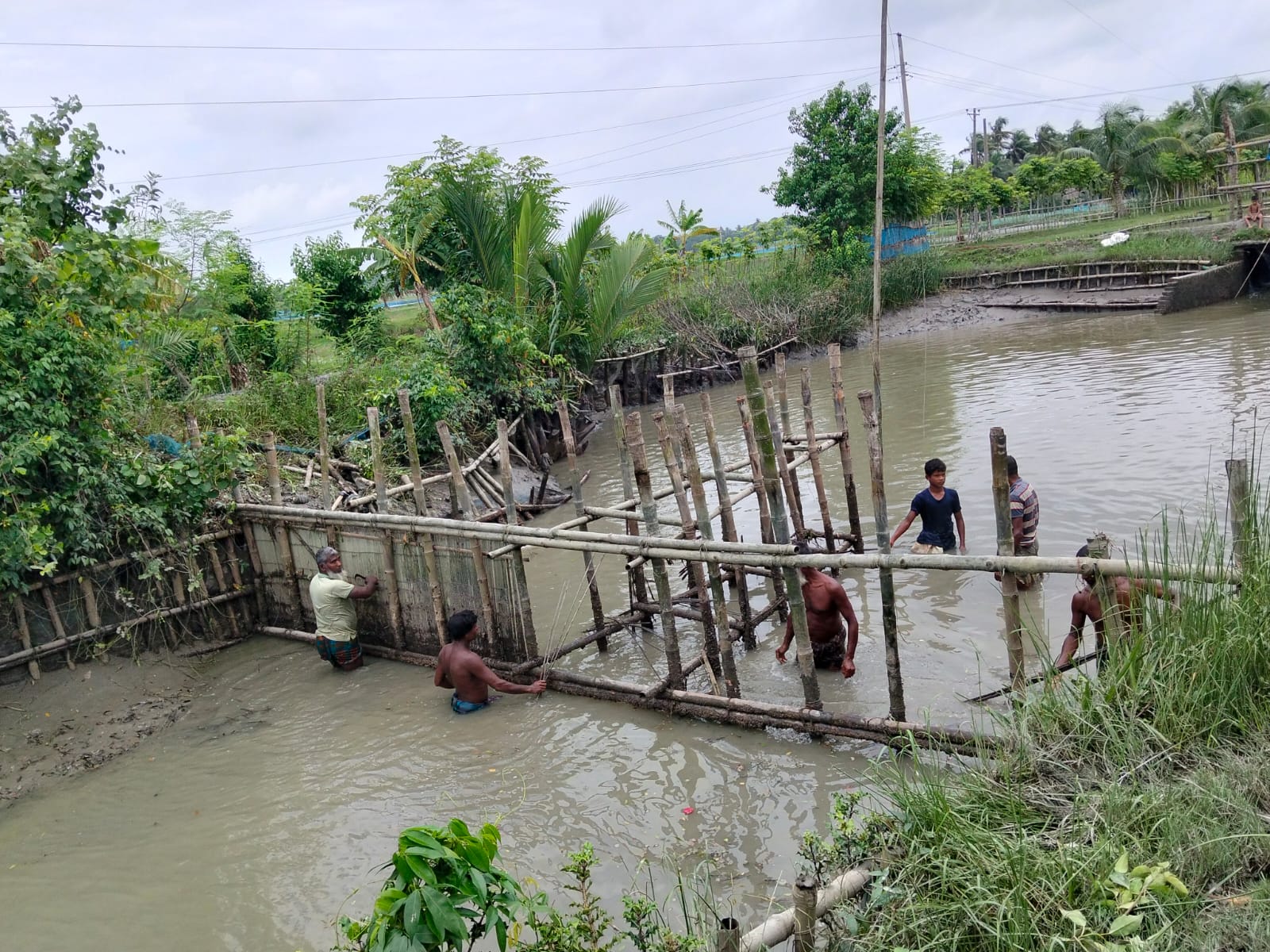 বাগেরহাটে নির্ধারিত সময়ের একদিন আগেই দেলভাষানি খাল অবমুক্ত করলেন দখলকারীরা