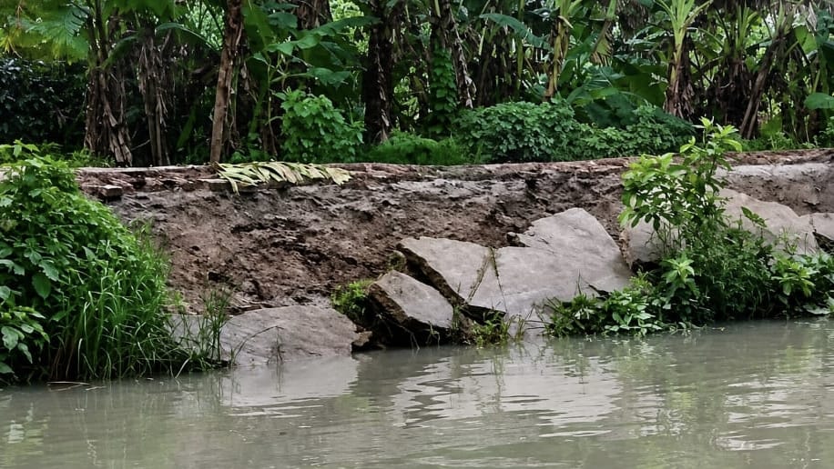 পিরোজপুরের নেছারাবাদে ভাঙনে বিলীন রাজাবাড়ি-জিলবাড়ি সড়ক, দুর্ভোগে পাঁচ গ্রামের হাজারো মানুষ