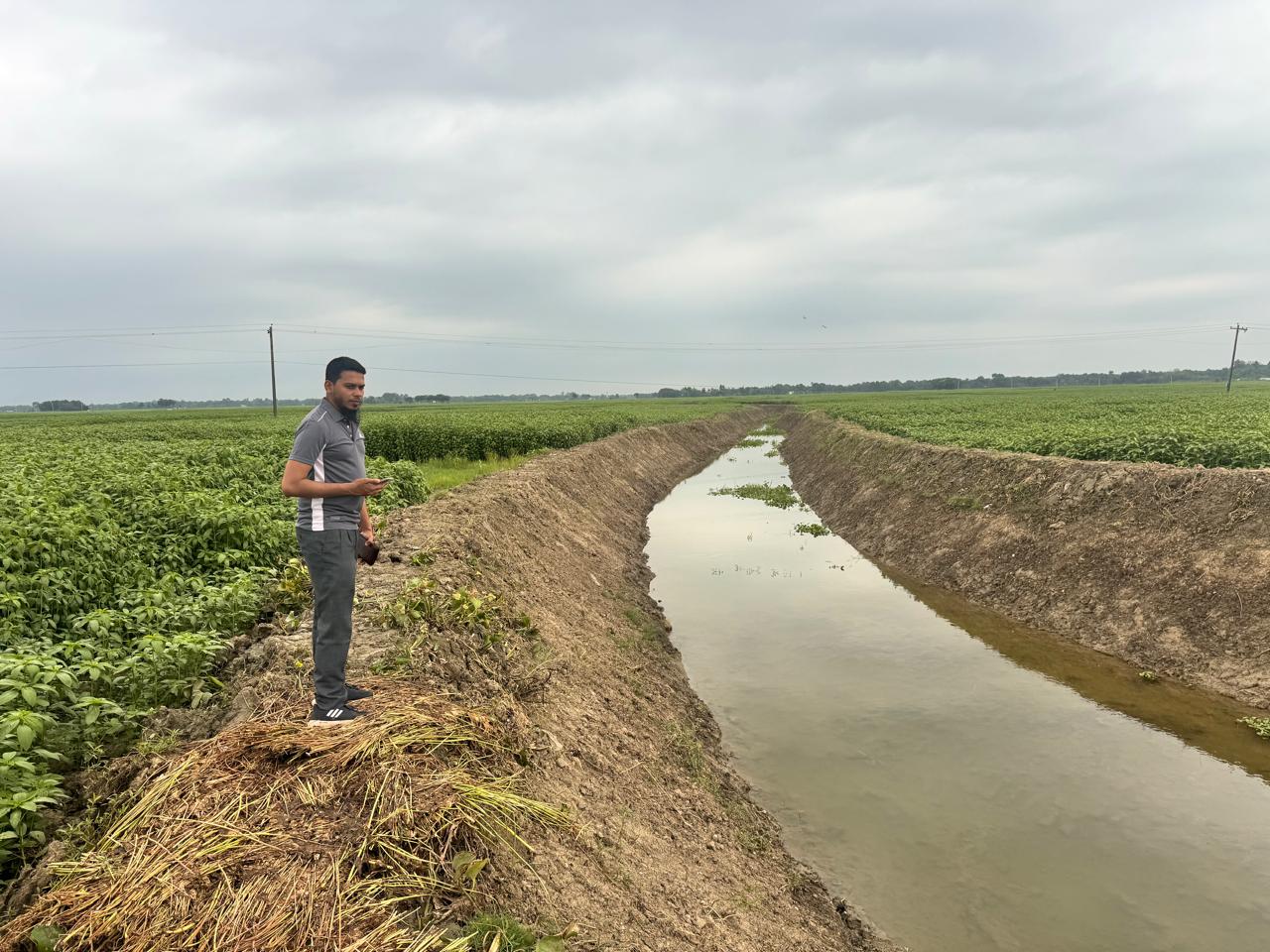 পাংশায় খাল পূনঃখনন ও বৃক্ষরোপণ কর্মসূচি শ্রমিকদের কর্মসংস্থান