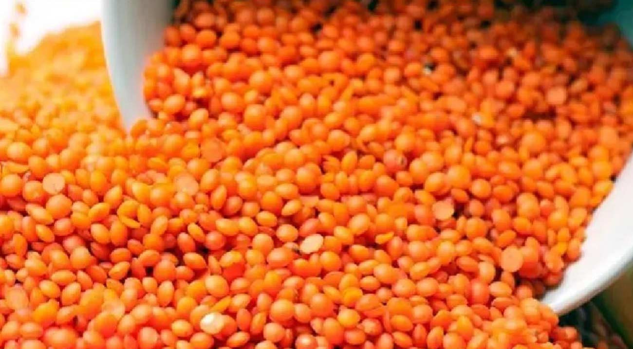 ৭২ কোটি ৫৩ লাখ টাকায় ৯ হাজার টন মসুর ডাল কিনছে সরকার, টিসিবির জন্য অনুমোদন