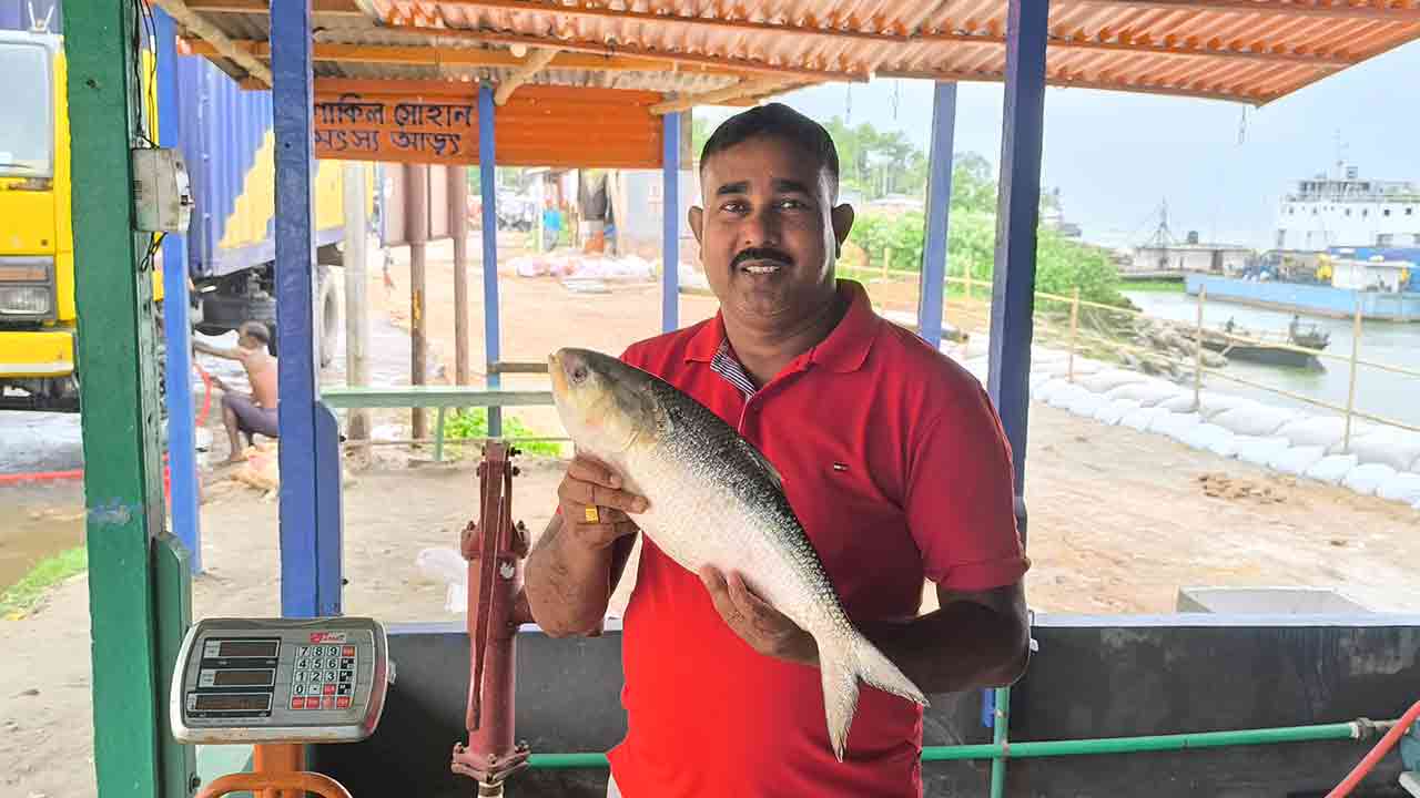 পদ্মার একটি ইলিশ ৮ হাজার টাকায় বিক্রি