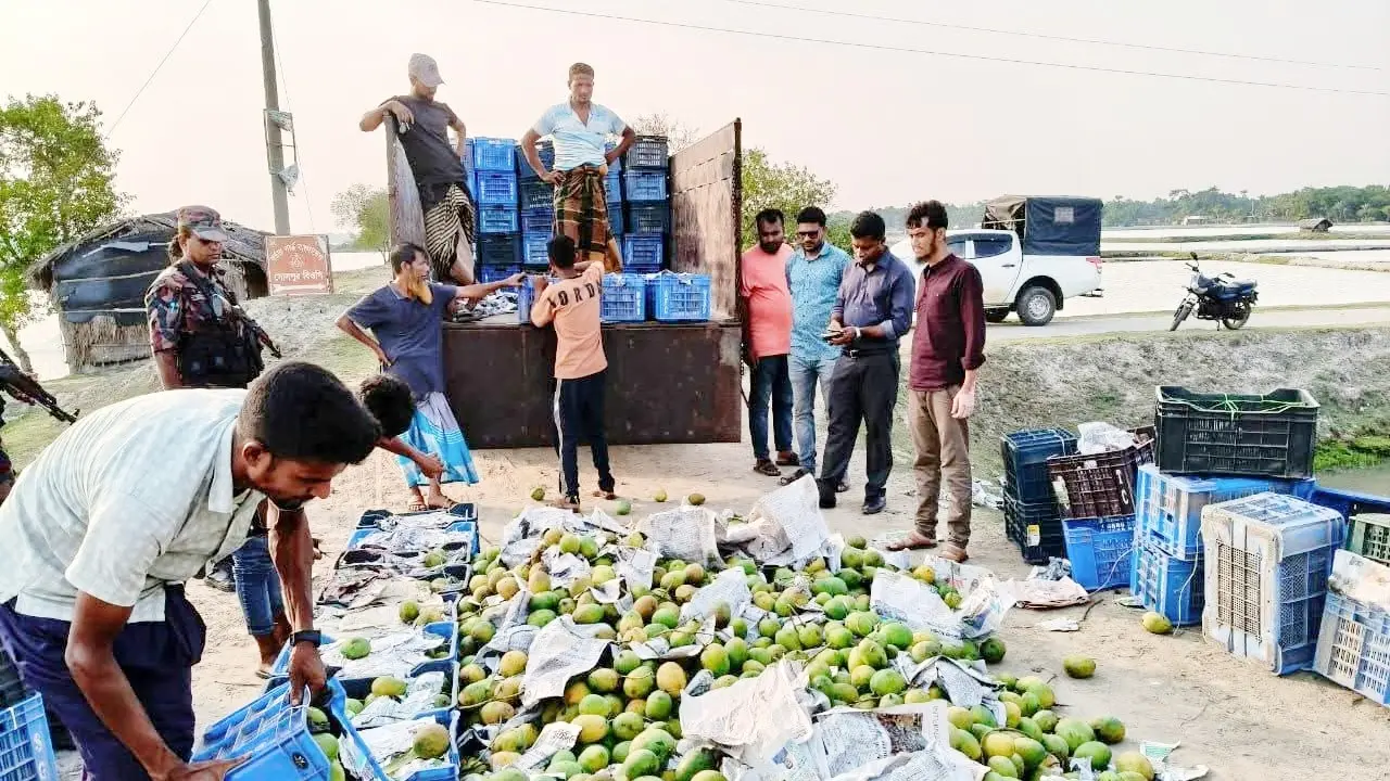 কেমিক্যাল মেশানো ৩ হাজার কেজি আম নেওয়া হচ্ছিল ঢাকায়, অভিযানে জব্দ