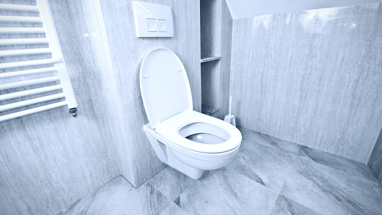 টয়লেটের দুর্গন্ধ দ্রুত দূর করার ৫ উপায়