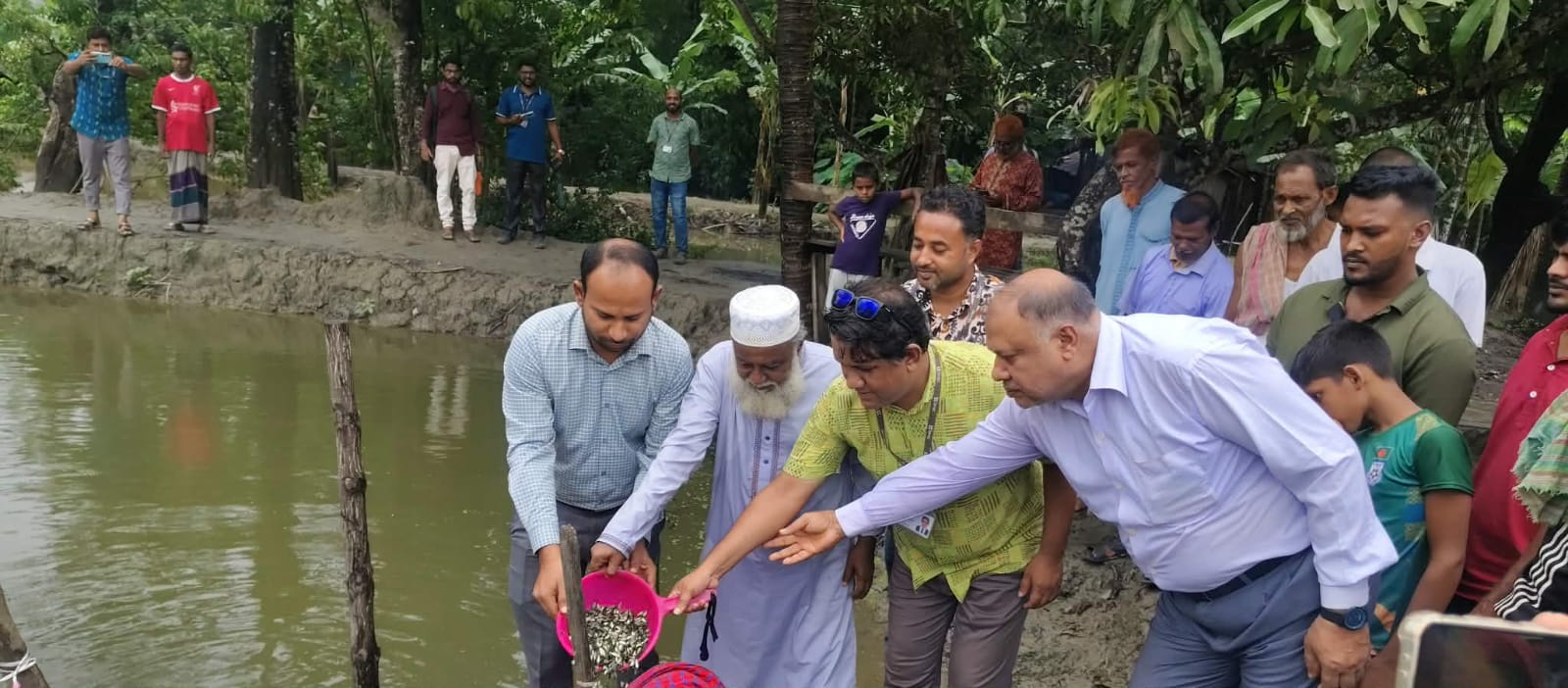 পাথরঘাটায় ১১৩টি পুকুরে চার লক্ষাধিক মাছের পোনা অবমুক্ত