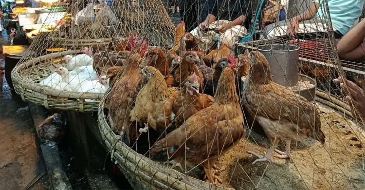 ঈদের পর বাজারে ঊর্ধ্বগতি: দেশি মুরগি ৮০০ টাকা, বেড়েছে খোলা তেলের দাম