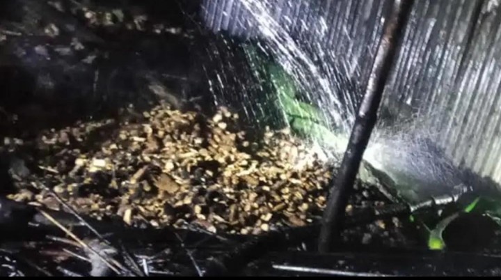 গাইবান্ধায় অগ্নিকাণ্ডে ২ গরুসহ গোয়ালঘর পুড়ে ছাই