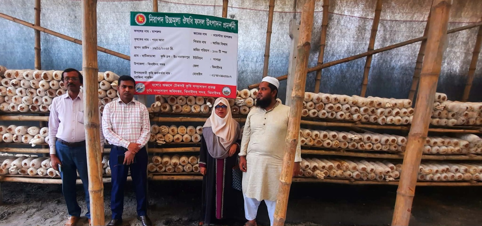 মাশরুম চাষে বদলে গেছে শাহাজালালের জীবন, সৃষ্টি হয়েছে নতুন কর্মসংস্থান
