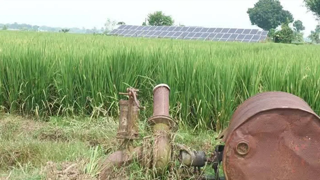 কুষ্টিয়ায় জ্বালানি সংকটে সেচ ব্যাহত, কৃষকরা চরম বিপাকে