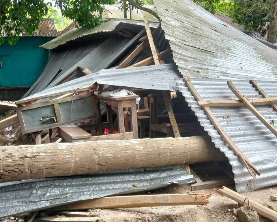 নড়াইলে শ্রেণিকক্ষে ক্লাস চলাকালে ঝড়ে গাছ ভেঙে পড়ে আহত ২ শিক্ষার্থী