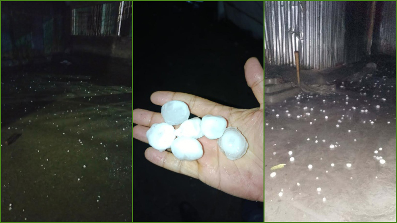 কুড়িগ্রামে হঠাৎ শিলাবৃষ্টি, ফসলের ক্ষতির শঙ্কায় কৃষক