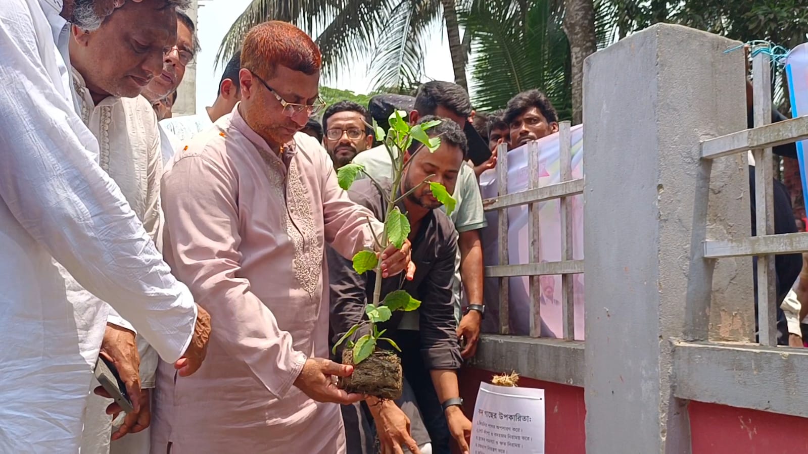 আবুতোরাব সরকারি প্রাথমিক বিদ্যালয়ে কৃষকদলের বৃক্ষরোপণ কর্মসূচী বাস্তবায়ন