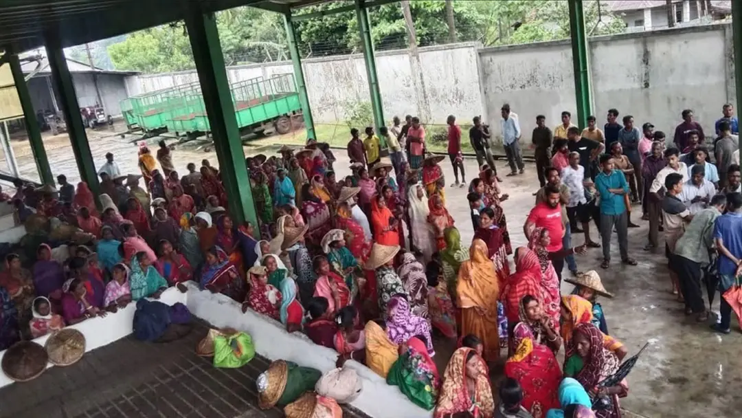 ঈদের আগে মজুরি না পেয়ে কর্মবিরতিতে চা বাগানের শ্রমিকেরা