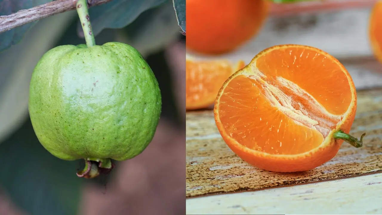 পেয়ারা না কি কমলা, কোন ফলে বেশি ভিটামিন সি থাকে?