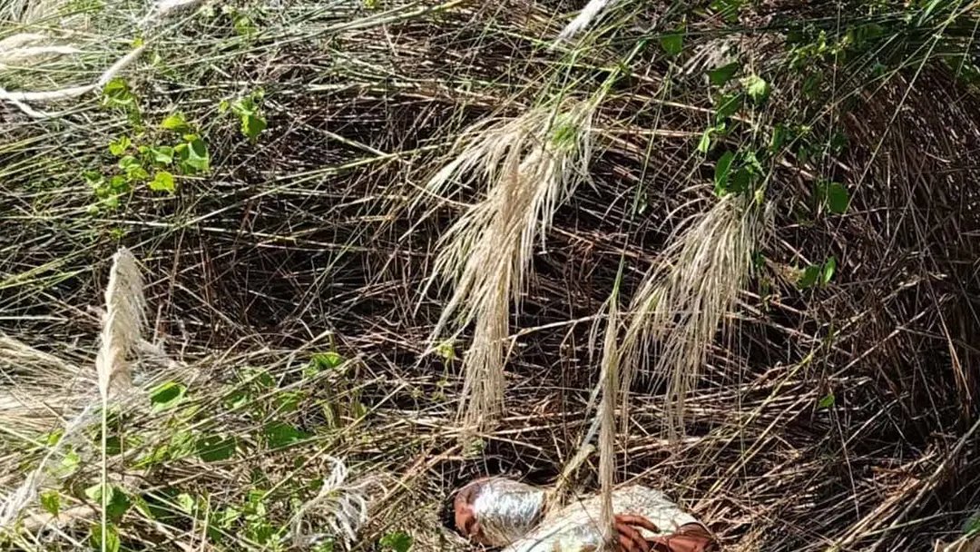 ব্রাহ্মণবাড়িয়ায় রাস্তার পাশে মিলল হাত-পা বাঁধা ও মুখে সেলোটেপ মোড়ানো লাশ