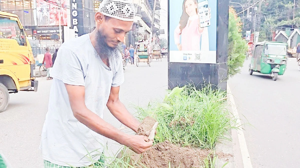 ১৩ হাজার গাছ লাগিয়েছেন রিকশাচালক রেজাউল