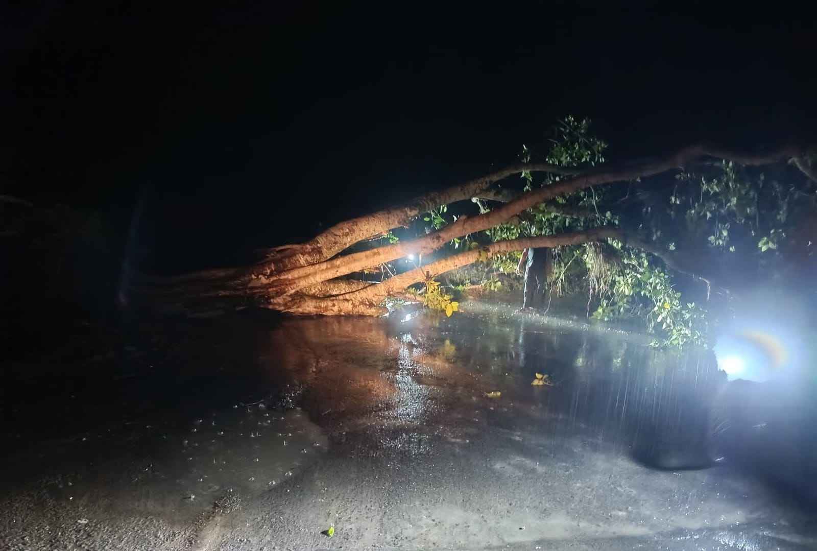 চুয়াডাঙ্গায় কালবৈশাখীর আঘাত, তিনতলা থেকে পড়ে বৃদ্ধের মৃত্যু