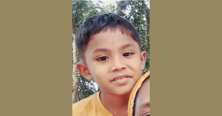 ঝিনাইদহে আইসক্রিম কিনে ফেরার পথে প্রাইভেটকারের ধাক্কায় শিশু নিহত, সহোদর ভাই হাসপাতালে