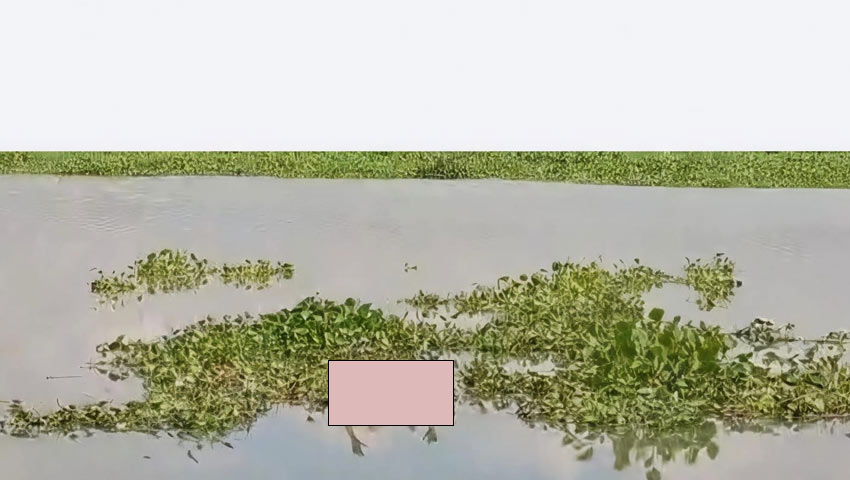 মুন্সিগঞ্জের সিরাজদিখানে ইছামতী নদীতে অজ্ঞাত ব্যক্তির মরদেহ ভেসে উঠেছে