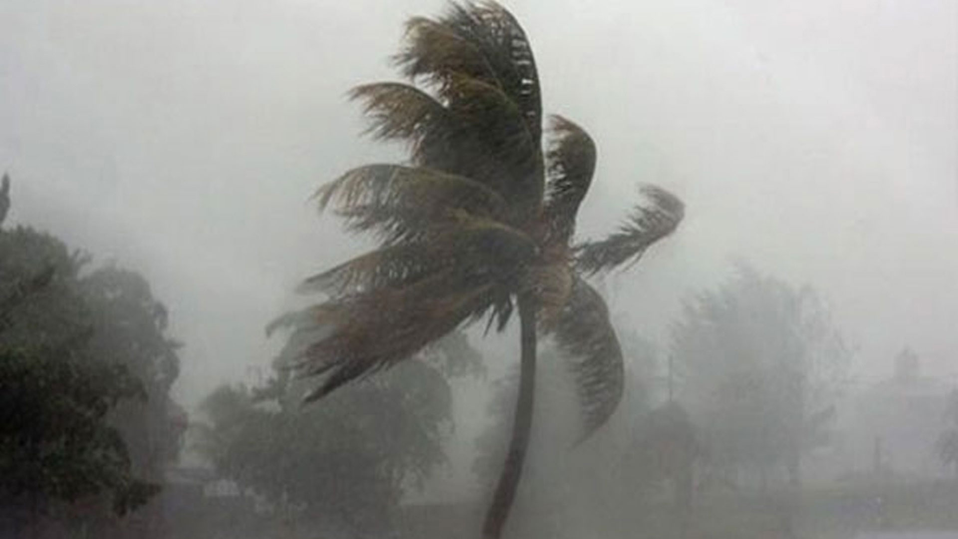 চার জেলায় ৮০ কিমি বেগে ঝড়ের সতর্কতা