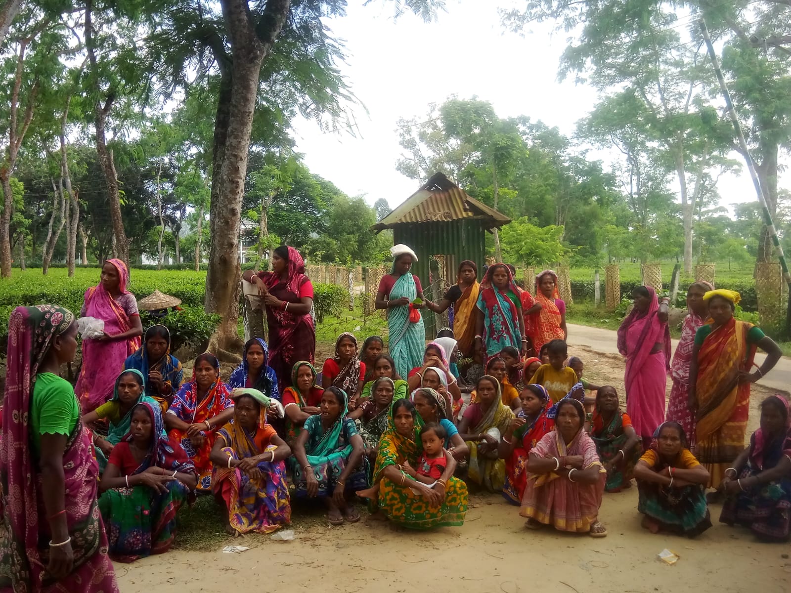 কানিহাটি চা বাগানে কর্মবিরতি, পঞ্চায়েত কমিটি অপসারণের দাবি