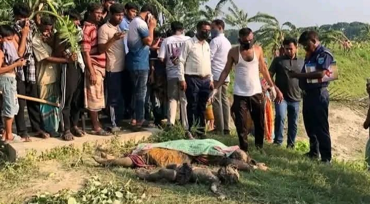 ফরিদপুরে কুকুরের কার্যক্রমে দেখে মাটির গর্ত থেকে শিশু ও নারীর মরদেহ উদ্ধার