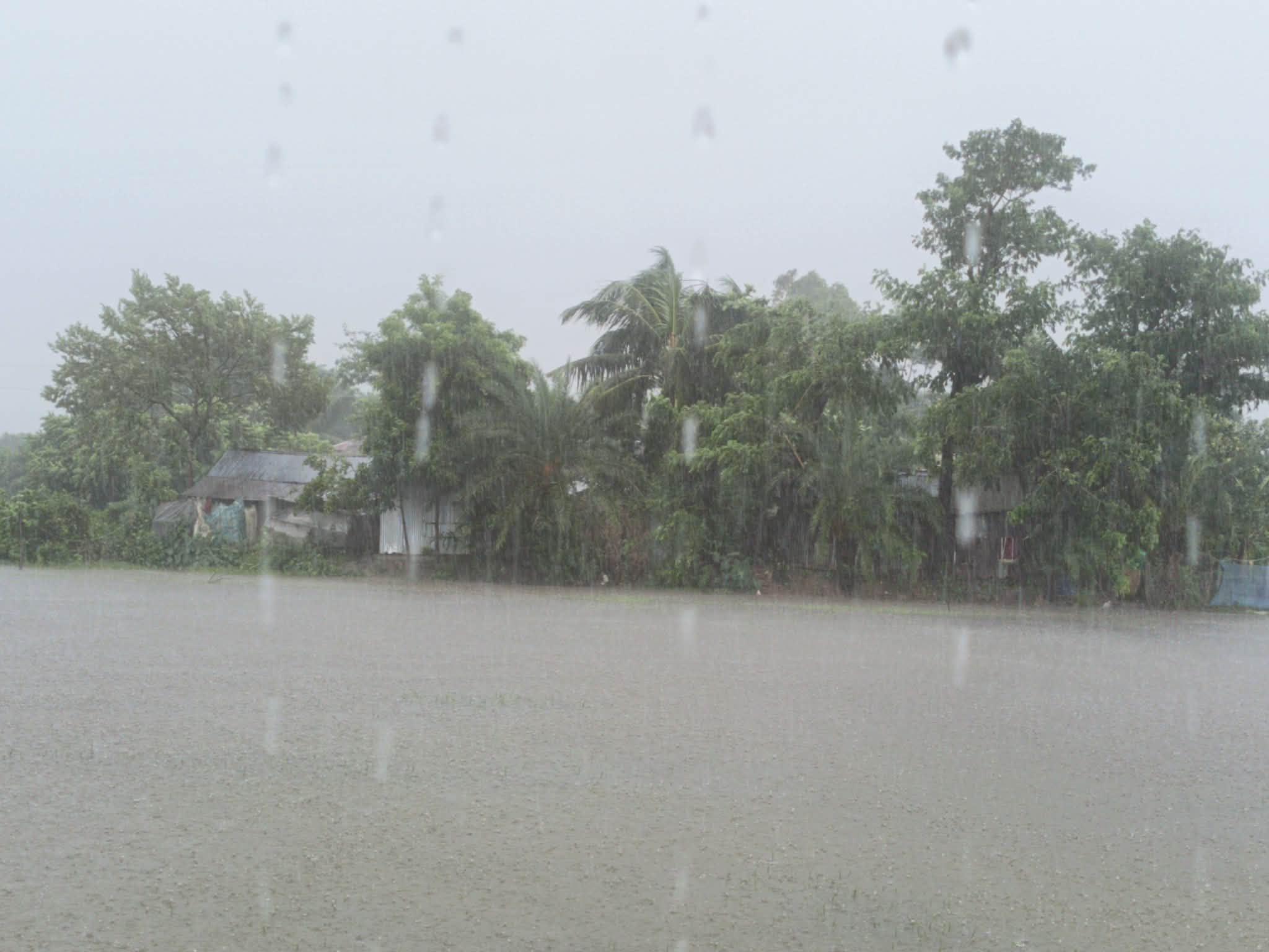 একটানা বৃষ্টিতে অতিষ্ঠ কলাপাড়া উপকূলবাসী