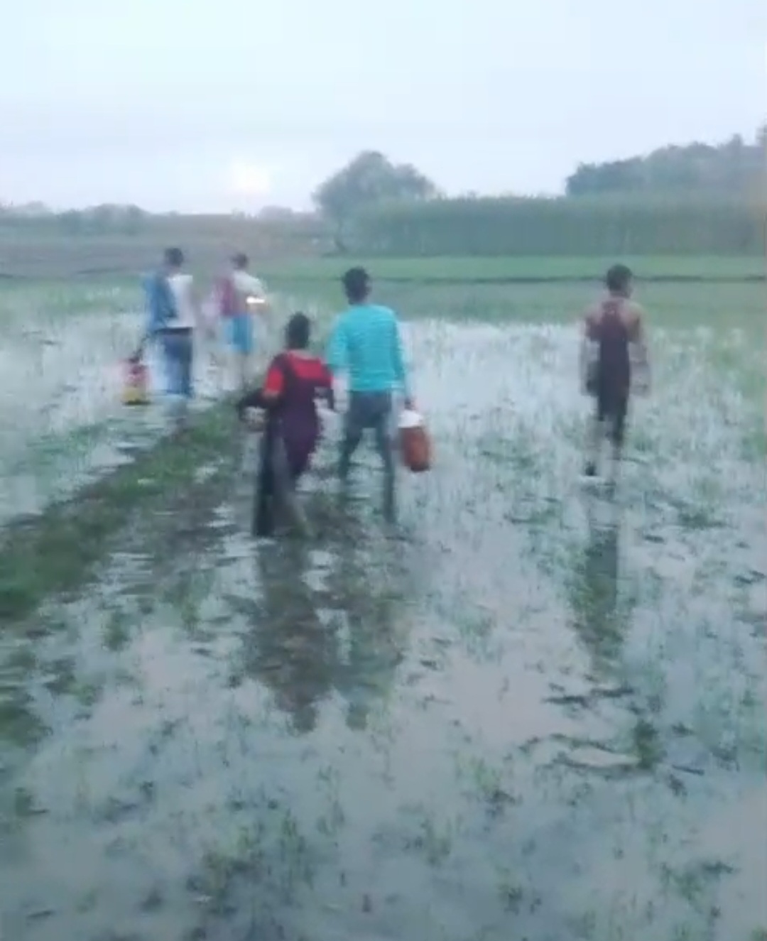 মেহেরপুরের ধলা সীমান্তে পাঁচ জনের পুশ ইন রুখে দিল বিজিবি