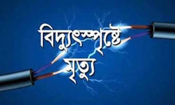 চুয়াডাঙ্গায় পৃথক ঘটনায় বিদ্যুৎস্পৃষ্টে দুজনের মৃত্যু