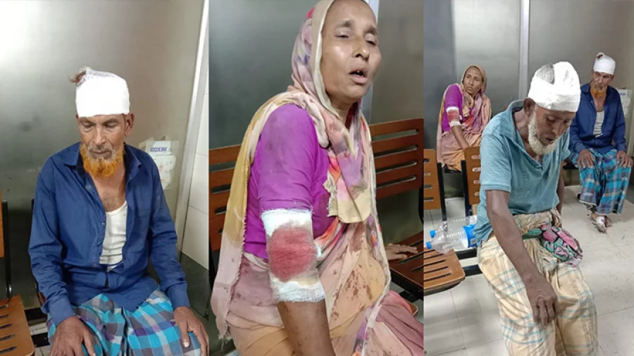 আনোয়ারায় বৃদ্ধকে কুপিয়ে জখম