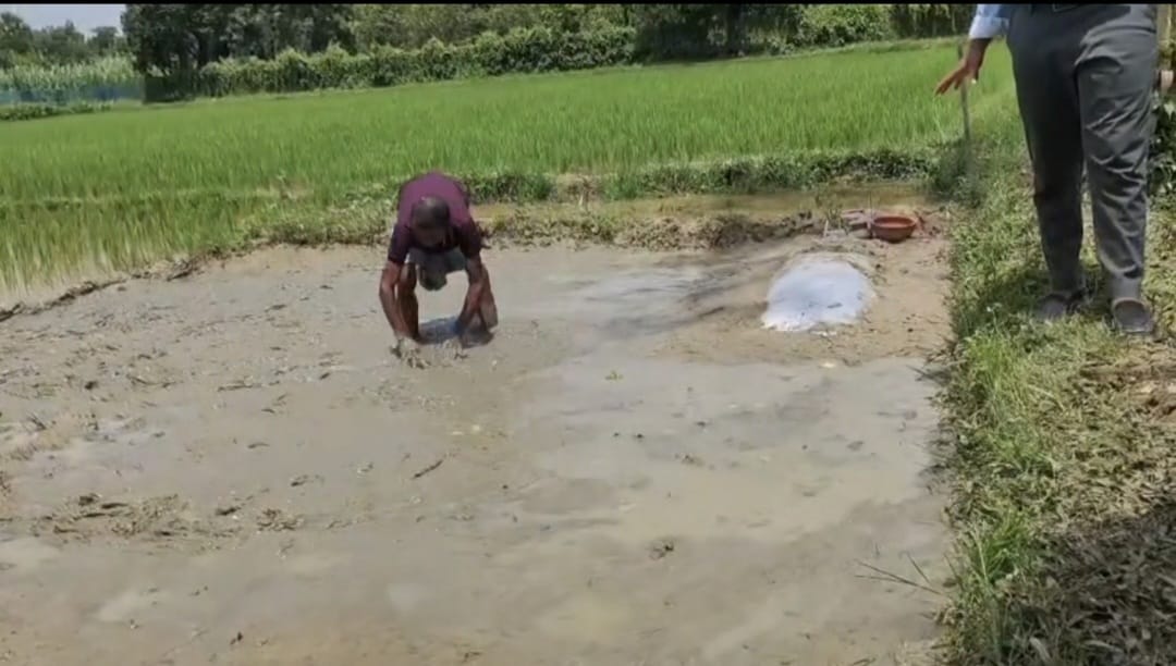 মৃত্যুর পরও ২০ ঘণ্টা অপেক্ষা, শেষ ঠিকানা হলো ধানের জমি