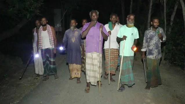 কালীগঞ্জে ১০ দিনে ১০ গরু চুরি, রাত জেগে পাহারায় গ্রামবাসী