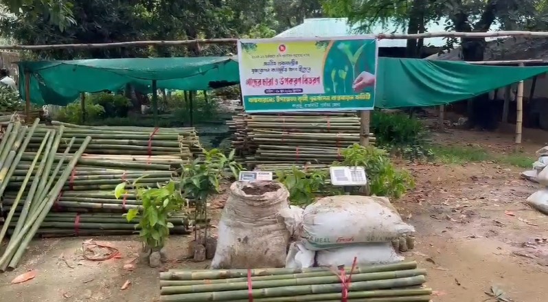 পরিবেশ রক্ষায় লংগদুতে ৩ হাজার ৫০০ গাছের চারা বিতরণ