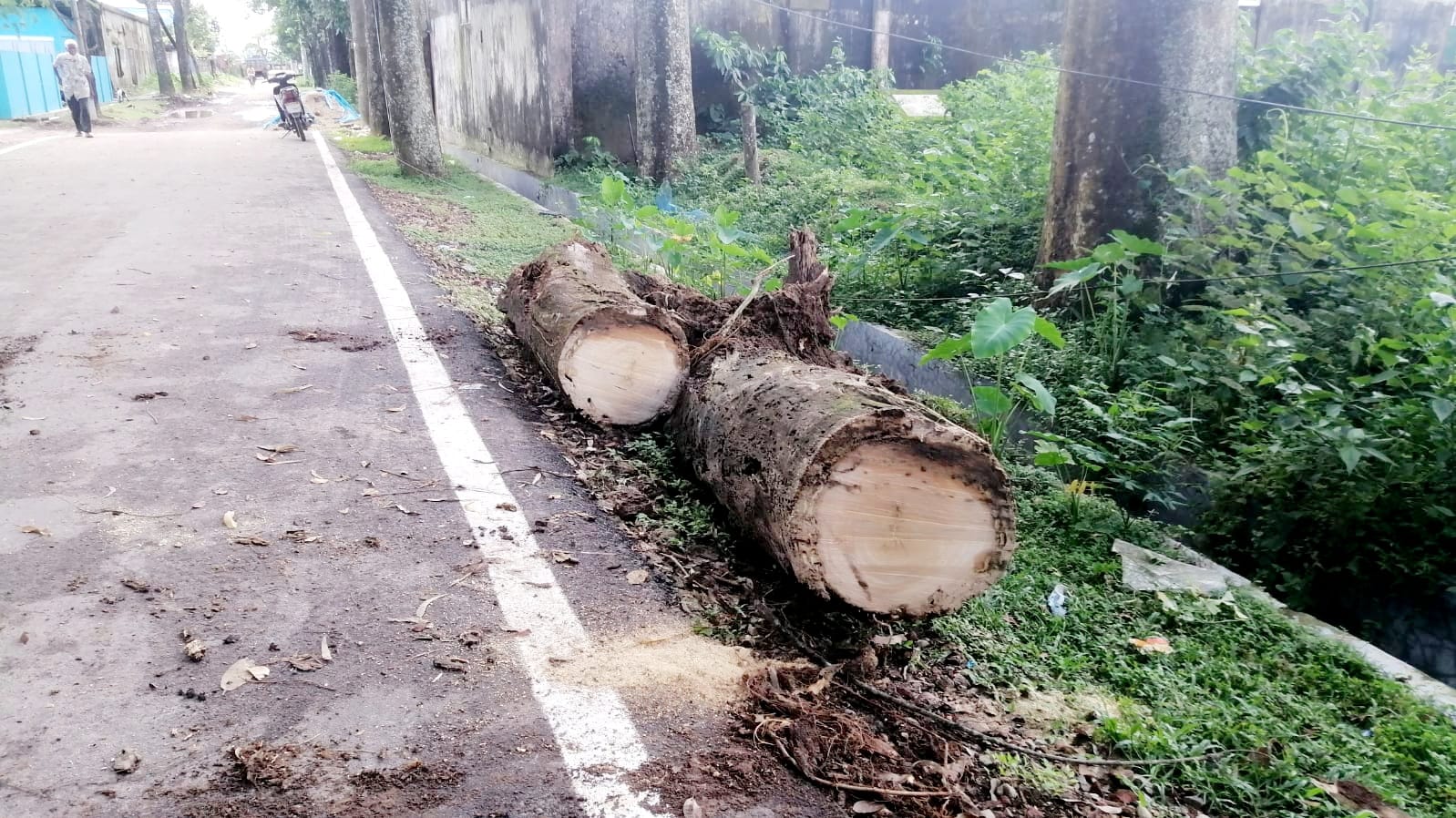 ফেনীর সোনাগাজীতে ট্রাক্টরে মোটরসাইকেলের  ধাক্কায় ব্যবসায়ী নিহত, আহত ১