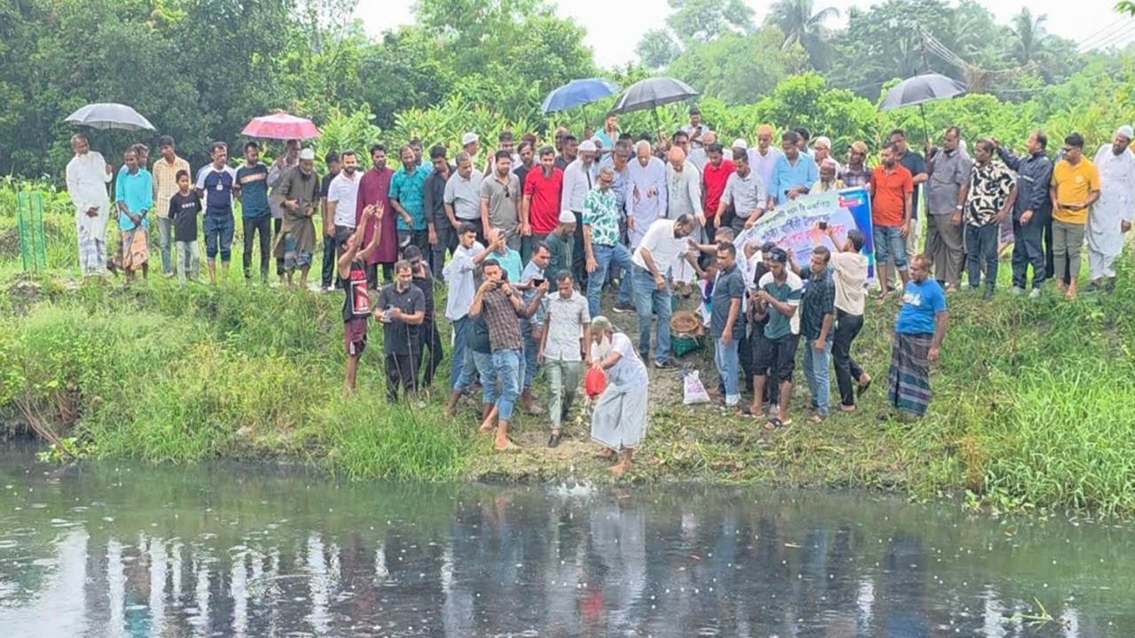 পিরোজপুরে বিএনপির উদ্যোগে বলেশ্বর নদী ও রিজার্ভ পুকুরে মাছের পোনা অবমুক্ত
