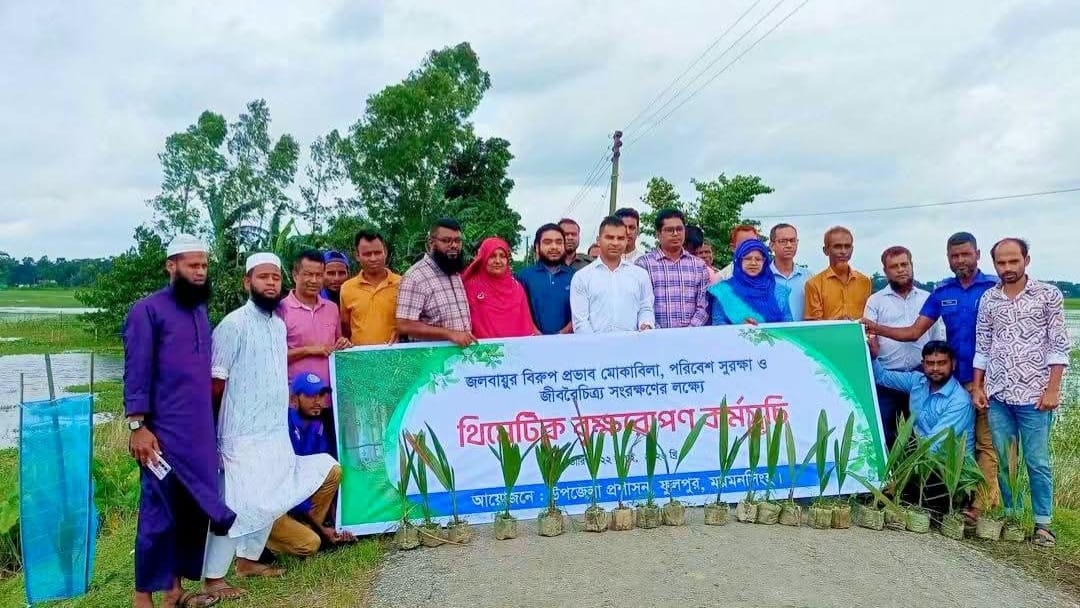 ময়মনসিংহ বাঁশতলা সড়কে সবুজের হাতছানি, রোপণ ২ শত তালগাছ