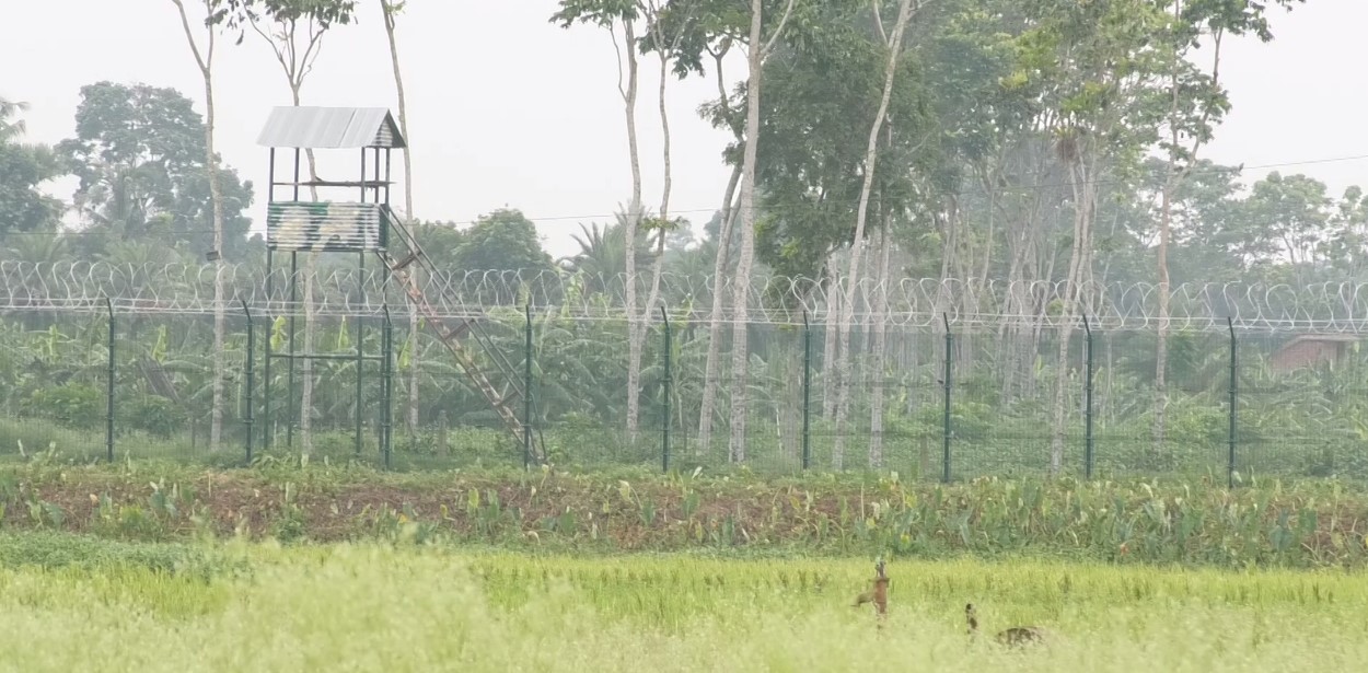 ঝিনাইদহের মহেশপুর সীমান্তে বিএসএফ’র রাবার বুলেটে বাংলাদেশী যুবক আহত