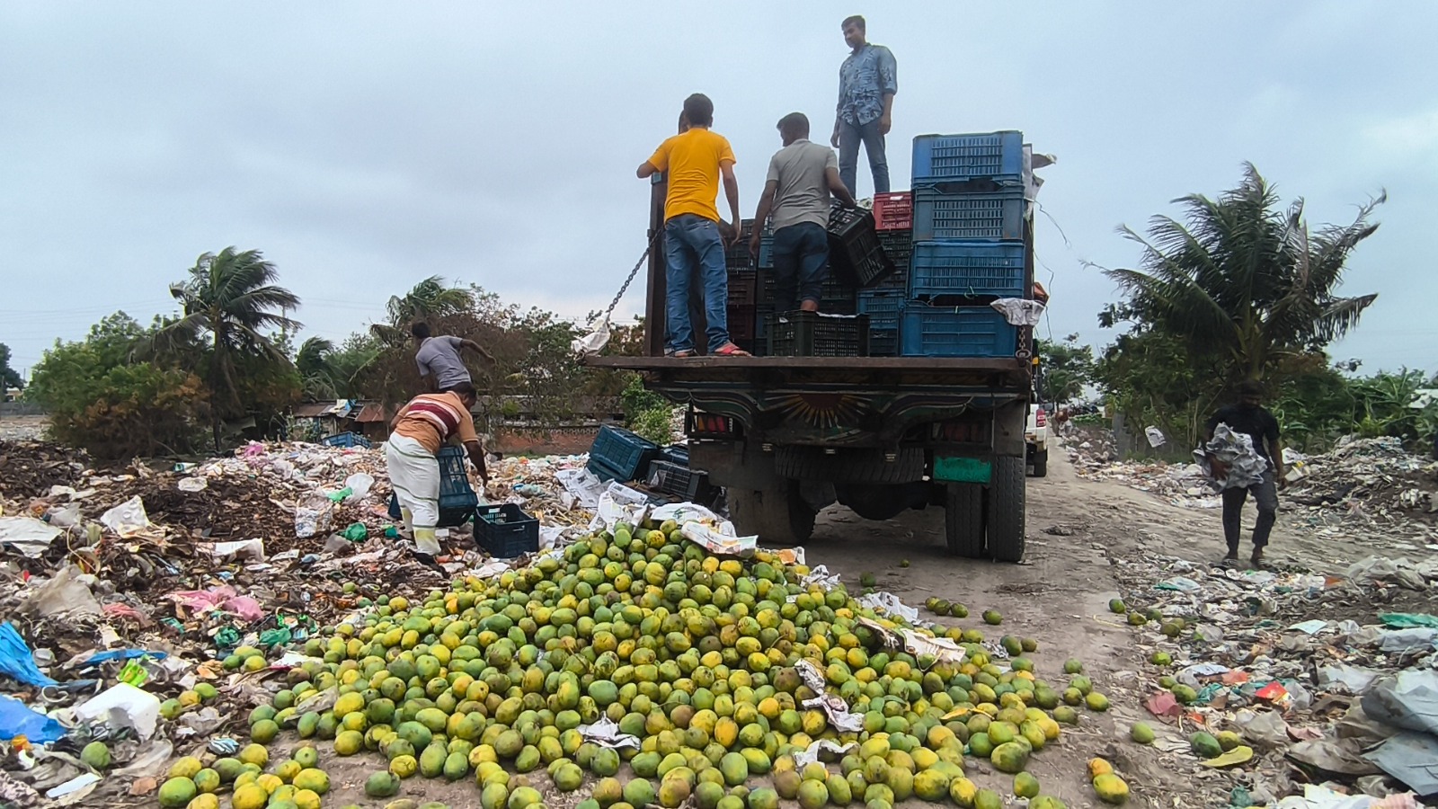 সাতক্ষীরায় কেমিক্যাল মিশ্রিত ৯ হাজার কেজি আম জব্দ