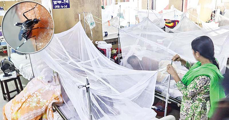 একদিনেই ডেঙ্গুতে ছয়জনের প্রাণহানি