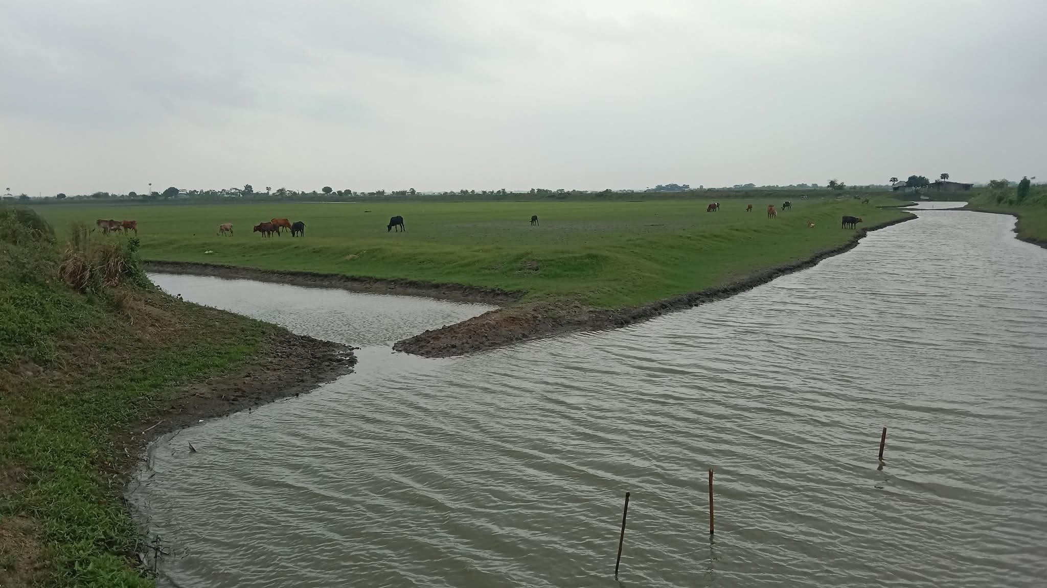 কৃষি উন্নয়ন জলাবদ্ধতা মুক্ত  ও পরিবেশবান্ধব ভবিষ্যতের জন্য নড়াইলে খাল-খনন প্রয়োজন