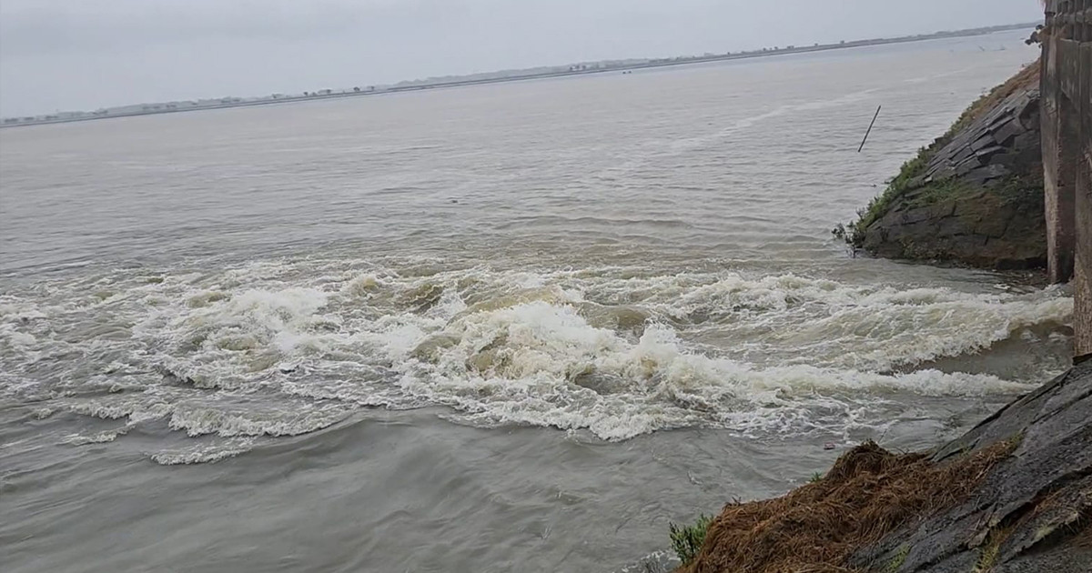 সুনামগঞ্জে হাওরের বাঁধ ভেঙে ডুবেছে ধানক্ষেত, বিপর্যস্ত কৃষকরা