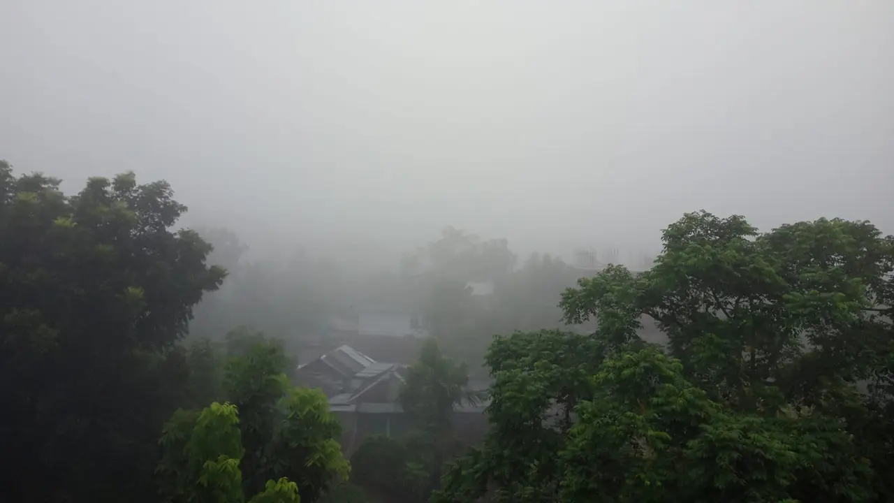 হঠাৎ ঘন কুয়াশায় ঢাকা পড়ল নীলফামারী