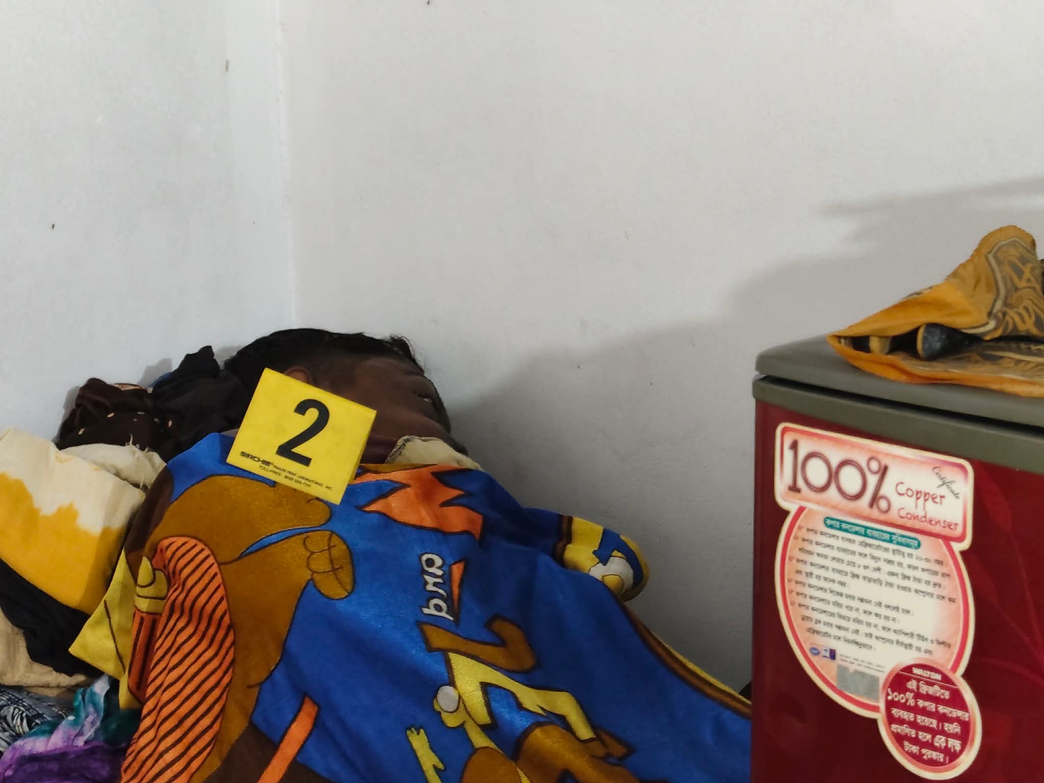 খুলনায় নানী ও দুই নাতীর লাশ উদ্ধার