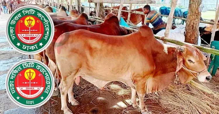 ঢাকায় ২৪ পশুর হাট, আফতাবনগর অনিশ্চিত